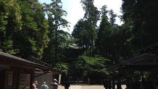 鎌倉といえば！