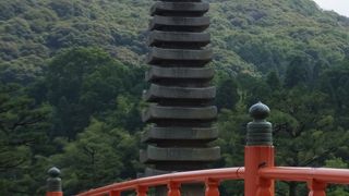 宇治川の中洲は癒しの空間です。