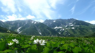 素晴らしい景色！
