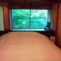 窓からは美しい緑の木々