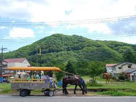 旅館　レストランふじや 写真