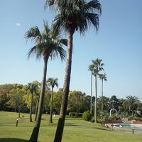 ホテルの庭。開放感があり、癒されます。