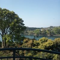 レストランの窓からの景色です。