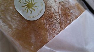 チャバッタが好きです