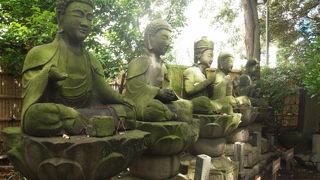 「湘南」発祥の地って本当ですか？　しょーなんです。