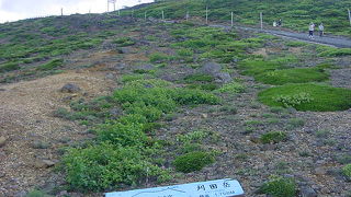 お釜から見上げます