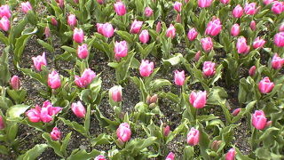 欧州気分♪♪♪