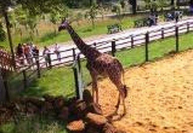 ホィップスネイド野生動物園