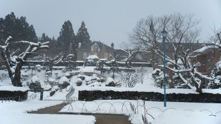 私史上『日本で一番おいしいソフトクリーム』！！