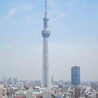 部屋からの眺め