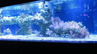 値段の割に展示は少ない