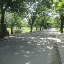 「加藤神社」方面から「熊本城公園」二の丸に入りました