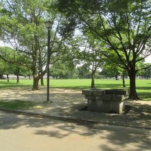 広い芝生の公園も、酷暑のためか人が見当たりません