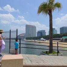 マリゾンから見た海岸線　海水浴場とヤフオクドーム