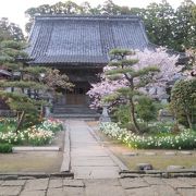 お花もきれいで雰囲気のあるお寺