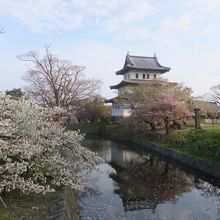 写真スポットとしても有名です