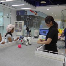 アイボ君の実演　子供たちが関心をしてみている