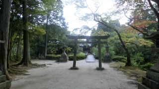 森の中に建つ静かな鷺森神社