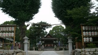 淀城跡の隣りに鎮座されています