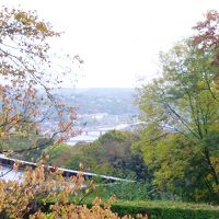 翌朝のテラスからの眺望