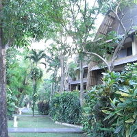 敷地内は緑がいっぱい