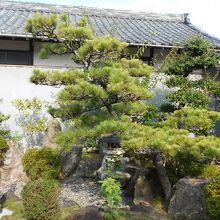 弘法堂裏手の日本庭園。