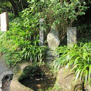 海蔵寺横の竹林前にあります
