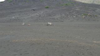 砂千里が浜  阿蘇