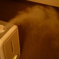 冬場は、加湿器あり