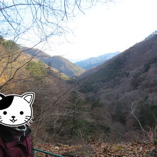 滝までの山道から見える景色