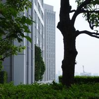 フジテレビの３階からの距離感