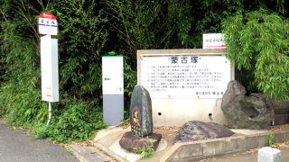 失礼ながら違和感がある　