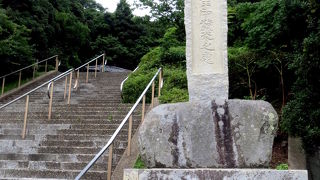 発見した当時の様子とあまりにも異なる環境