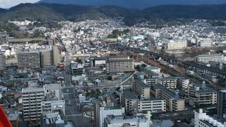 景色が最高です