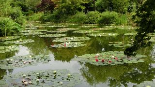 モネの絵画・睡蓮の世界に