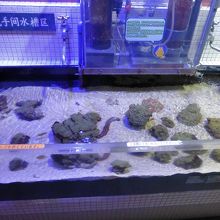 大人も笑えます