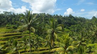美しい田園風景