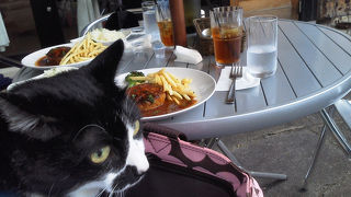 テラス席はペット可！