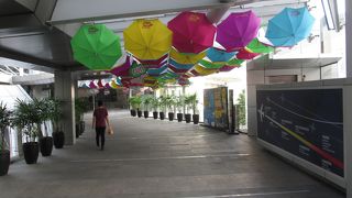 店内、店外のディスプレイがおもしろい