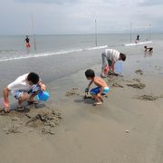 夏休に家族で潮干狩りに