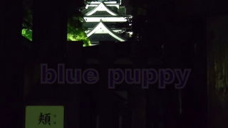 桜の馬場城彩苑との間のシャトルバスを降りると、道路を挟んで向かいに