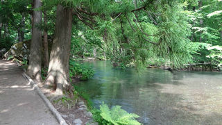 14ｋｍの遊歩道