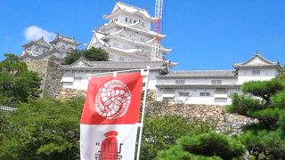 白鷺城は白かった。