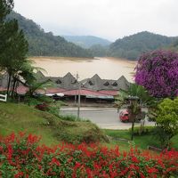 レイクと下を走る道路