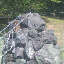 サル山の上で佇むお猿さんの様子