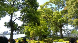 イベントが、楽しみ！