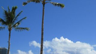 遂に全米ビーチランキングNo.1を獲得！