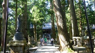 雰囲気ありますね