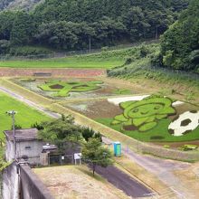 アート田んぼ