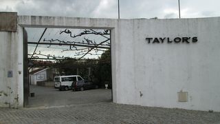 代表的なワウンセラー